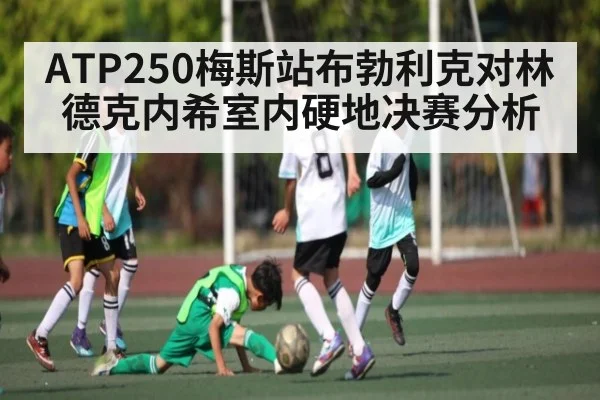 ATP250梅斯站布勃利克对林德克内希室内硬地决赛分析